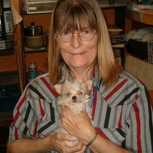 Meet your Posher, Glenda